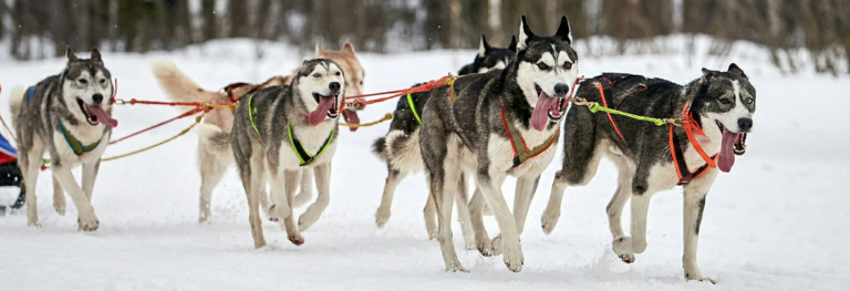 Why Best-of-Breed Is Killing Your Data Stack